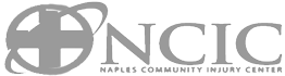 ncic